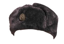 Ushanka Meme Template