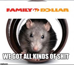 Family Dollar meme Meme Template
