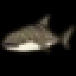 Whale shark icon Meme Template