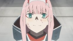 zero two Meme Template