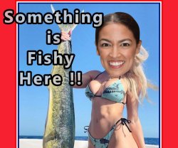 AOC likes Fishy things !!! Meme Template