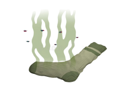 Stinky sock Meme Template