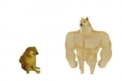 dogs strong and weak Meme Template