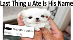 Grandad puppy Meme Template