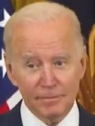 Heir Biden Meme Template