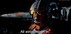 All Wings Report In Meme Template