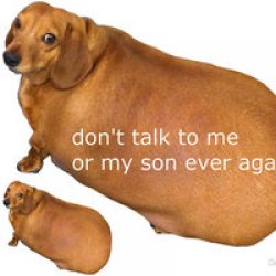Dont talk to me or my son ever again Meme Template