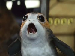 Porg smells like Meme Template