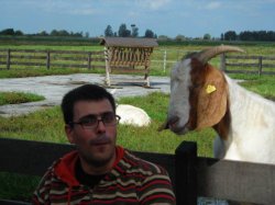 What race are you? Meme Template