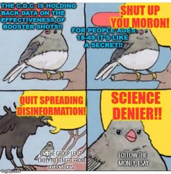COVID birds Meme Template