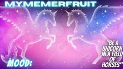 MyMemerFruit uni temp Meme Template