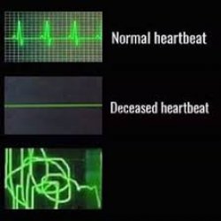 Heart Rate Monitor Meme Template