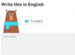 Duolingo Your Mom Meme Template