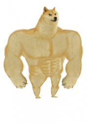 buff doge Meme Template