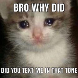 Bro why did you text me in that tone Meme Template