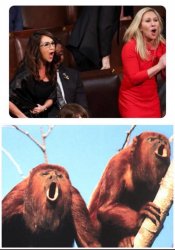 two obnoxious smelly screeching primates plus two howler monkeys Meme Template