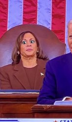 Kamala Harris Meme Template