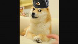 doge with russian hat Meme Template