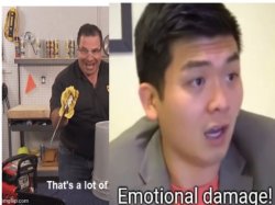 that's a lot of emotional damage Meme Template