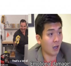 thats alot of emotional damage + white space above Meme Template