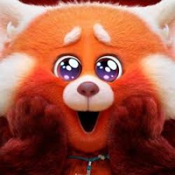 Red Panda cute eyes Meme Template