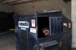 Trash Dive Meme Template