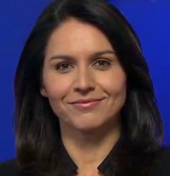 tulsi gabbard Meme Template