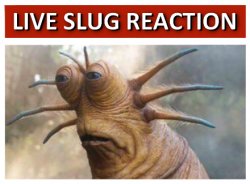 Live slug reaction Meme Template