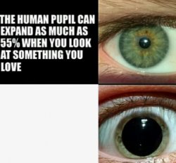 The human pupil can expand as much as 55% Meme Template