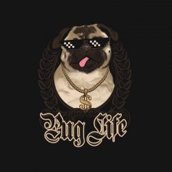 Pug Life Meme Template