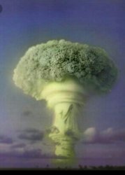 Atomic Broccoli Meme Template