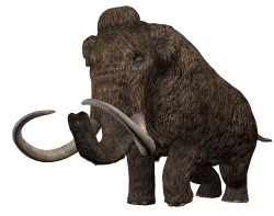 Woolly Mammoth (JWA Design) Meme Template