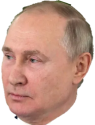 Putin Meme Template