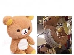 Tied Up Teddy Bear Meme Template