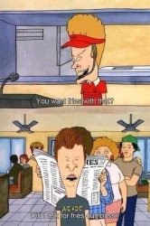 Beavis and Butt-Head Meme Template