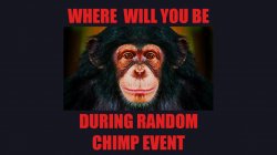 random chimp event Meme Template