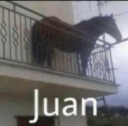 Juan Meme Template