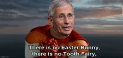 Dr. Fauci there is no Easter bunny Meme Template