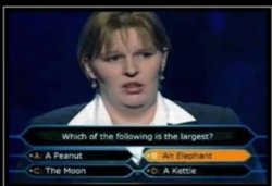 who wants to be a millionaire Meme Template