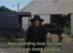 Amish Paradise Meme Template