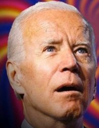 biden Meme Template