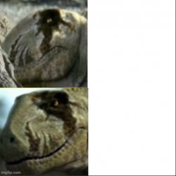 Dimetrodon Approves Meme Template