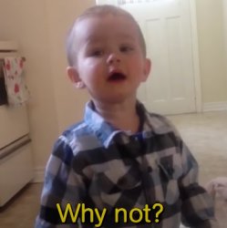 Why not? Meme Template