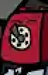 fun Meme Template