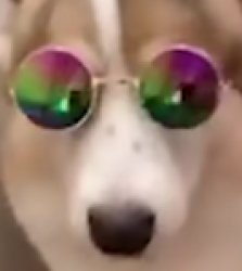 HI!? Meme Template
