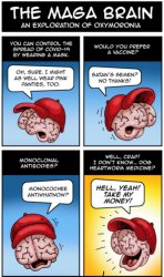 The MAGA brain Meme Template