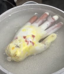 Hotdog omelette glove Meme Template