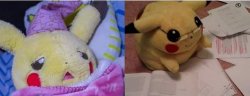pikachew Meme Template