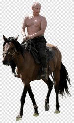 Putin on horse Transparency Meme Template