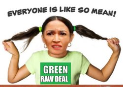 AOC Green Raw Deal Meme Template